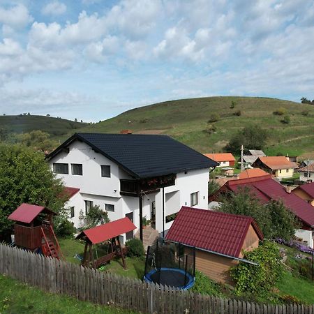 Cazare La Mitica Subcetate  Exteriör bild