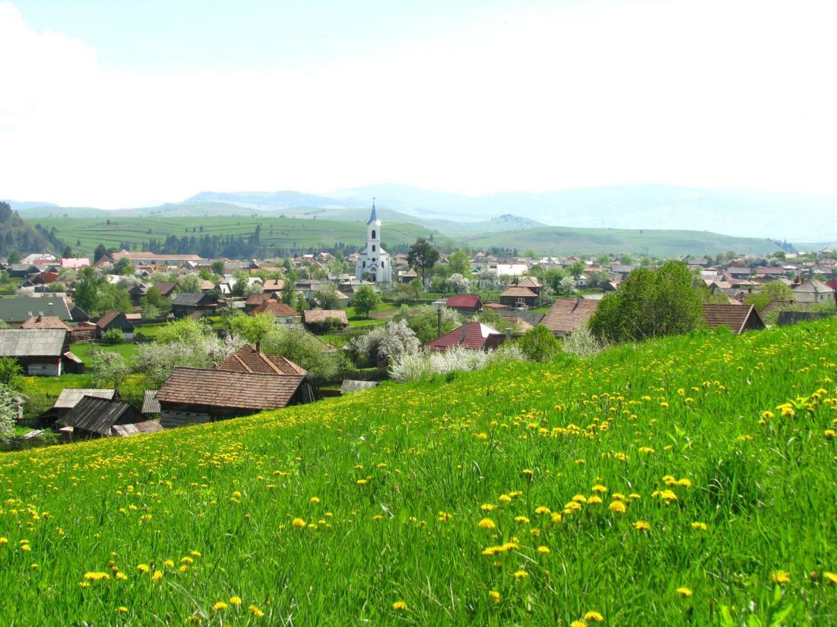 Cazare La Mitica Subcetate  Exteriör bild
